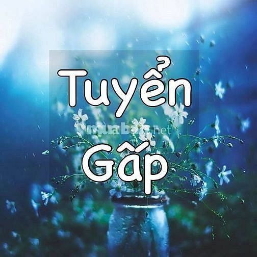 LĐPT,không cần bằng cấp và kinh nghiệm 61645555 LĐPT,không cần bằng cấp và kinh nghiệm