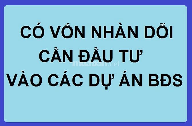 Có lượng lớn vốn nhàn dỗi cần đầu tư vào các dự án bất động sản 61656734 Có lượng lớn vốn nhàn dỗi cần đầu tư vào các dự án bất động sản