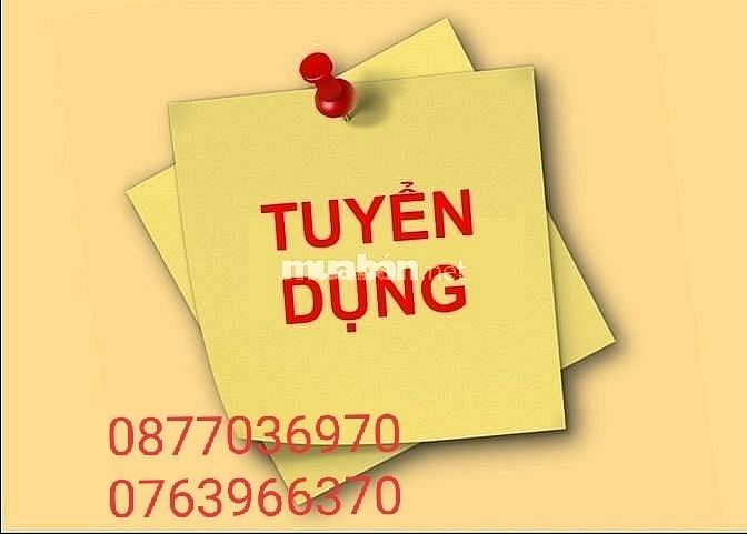 Tuyển gấp nhân viên tư vấn, bán hàng tại siêu thị 61669876 Tuyển gấp nhân viên tư vấn, bán hàng tại siêu thị