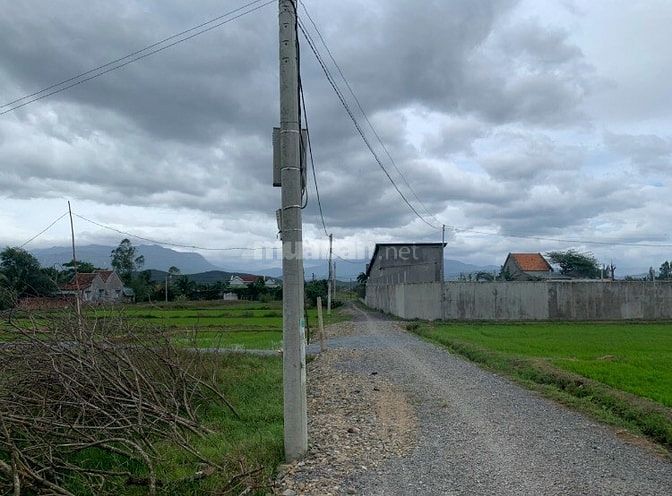 Bán 549m2 đất Cây lâu năm nằm ngay gần uỷ ban xã Ninh Trung