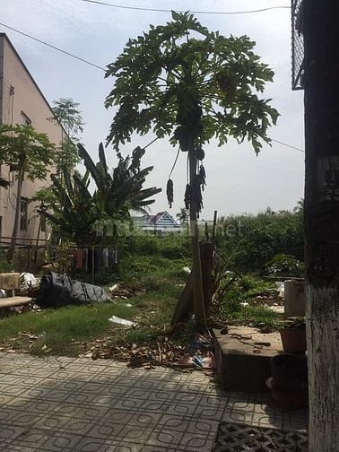 Chính chủ cần tiền bán gấp lô đất có sổ đỏ giá rẻ 61665726 Chính chủ cần tiền bán gấp lô đất có sổ đỏ giá rẻ