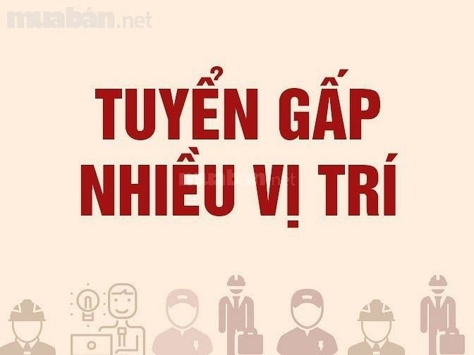 Cần lắm anh chị lớn tuổi đang tìm kiếm công việc lâu dài 61680449 Cần lắm anh chị lớn tuổi đang tìm kiếm công việc lâu dài