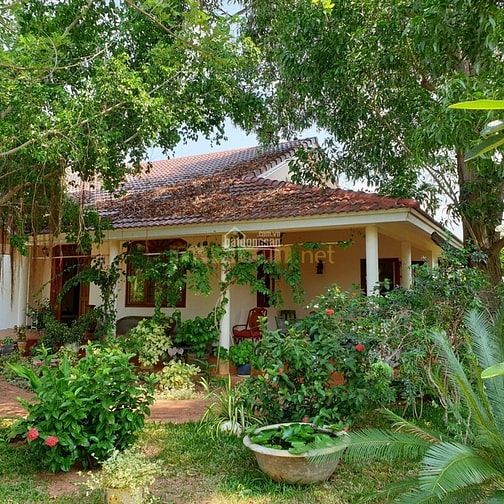 Chính chủ cần bán căn Villa Nghỉ dưỡng Mũi né. Giá chỉ 5 tỷ, 1000m2 61720271 Chính chủ cần bán căn Villa Nghỉ dưỡng Mũi né. Giá chỉ 5 tỷ, 1000m2