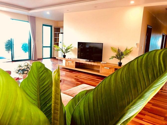 Cho thuê căn hộ cao cấp đẹp nhất Thùy Dương Plaza