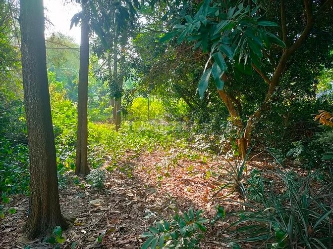 Bán đất nghỉ dưỡng có suối chảy vòng quanh-cách HN 60km. GIá 30tr/sào 61752919 Bán đất nghỉ dưỡng có suối chảy vòng quanh-cách HN 60km. GIá 30tr/sào