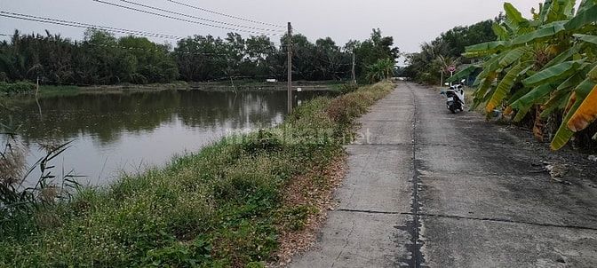 Đất nông nghiệp tân trụ long an 61752615 Đất nông nghiệp tân trụ long an