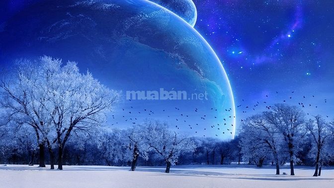 Cần Cho Thuê Nhà Hàng- Tiệc Cưới, Đẹp lung linh kế ben Big C Tân phú 61754656 Cần Cho Thuê Nhà Hàng- Tiệc Cưới, Đẹp lung linh kế ben Big C Tân phú