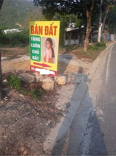 Bán gấp 815m2 đất cây lâu năm giá là 2 tỷ 8 tại phường 8 61695156 Bán gấp 815m2 đất cây lâu năm giá là 2 tỷ 8 tại phường 8