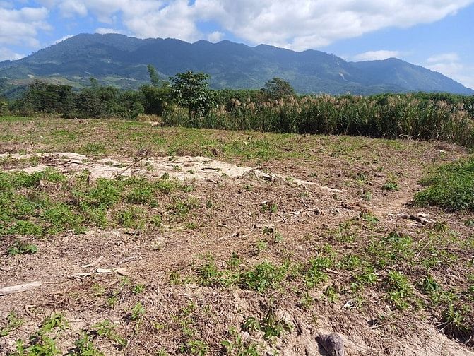 Bán đất cây lâu năm Khánh Vĩnh - Khánh hòa