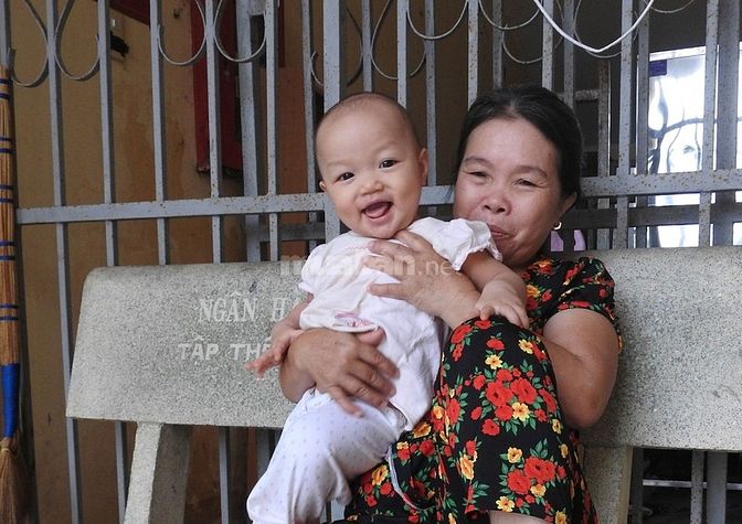 Cần tìm 1 người giúp việc nhà 1 giữ em bé 1 chăm người già 61785686 Cần tìm 1 người giúp việc nhà 1 giữ em bé 1 chăm người già