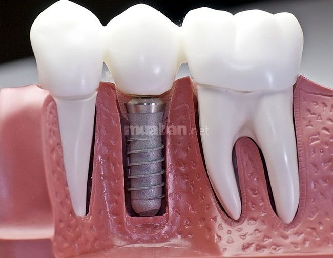 Tuyển sinh lớp Y sĩ đa khoa hệ chính quy 61788211 Tuyển sinh lớp Y sĩ đa khoa hệ chính quy