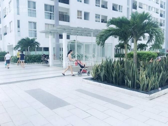 Chính chủ bán gấp căn A1-1736 (tầng 17 căn 36) dự án Roxana plaza 61816322 Chính chủ bán gấp căn A1-1736 (tầng 17 căn 36) dự án Roxana plaza