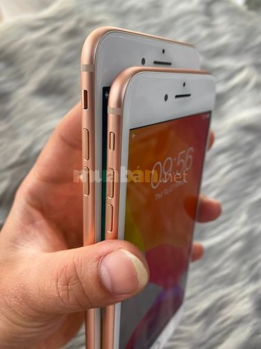 IPhone 8 plus 64 gold (SD) Mới keng 61824306 IPhone 8 plus 64 gold (SD) Mới keng