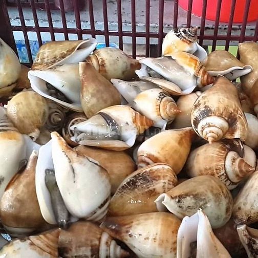 Cần một chi chăm bé gái 8 tháng bé em rất ngoan ăn ở lại nhà có 2 vc 61824761 Cần một chi chăm bé gái 8 tháng bé em rất ngoan ăn ở lại nhà có 2 vc
