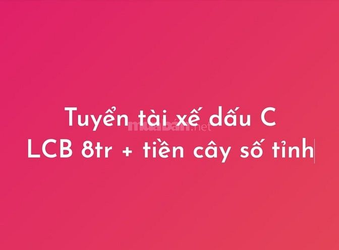 Tuyển tài xế chạy xe tải tư nhân, dấu C, LCB 7tr/th + tiền cây số Tỉnh 61657166 Tuyển tài xế chạy xe tải tư nhân, dấu C, LCB 7tr/th + tiền cây số Tỉnh