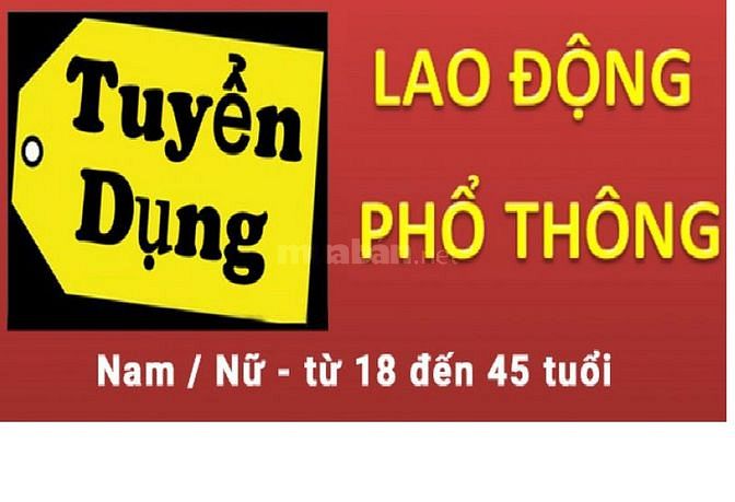 Tuyển lao động phổ thông số lượng lớn các vị trí, làm tại Hà Nội 61828212 Tuyển lao động phổ thông số lượng lớn các vị trí, làm tại Hà Nội