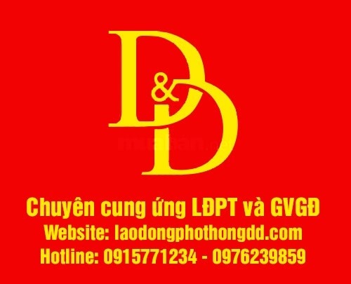 Công Ty TNHH Thu Trang chuyên cung ứng lao động phổ thông - Vimarsana News