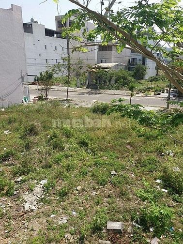 Chính chủ bán đất đường 32m, Nghi Phương-Nghi Lộc-Nghệ An 61847684 Chính chủ bán đất đường 32m, Nghi Phương-Nghi Lộc-Nghệ An
