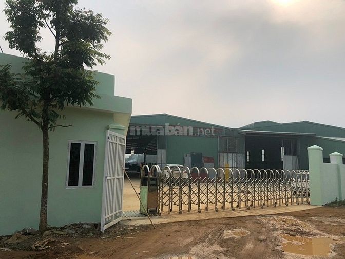 Tuyển Nam. nữ đóng gói sản xuất hộp bìa 61857095 Tuyển Nam. nữ đóng gói sản xuất hộp bìa