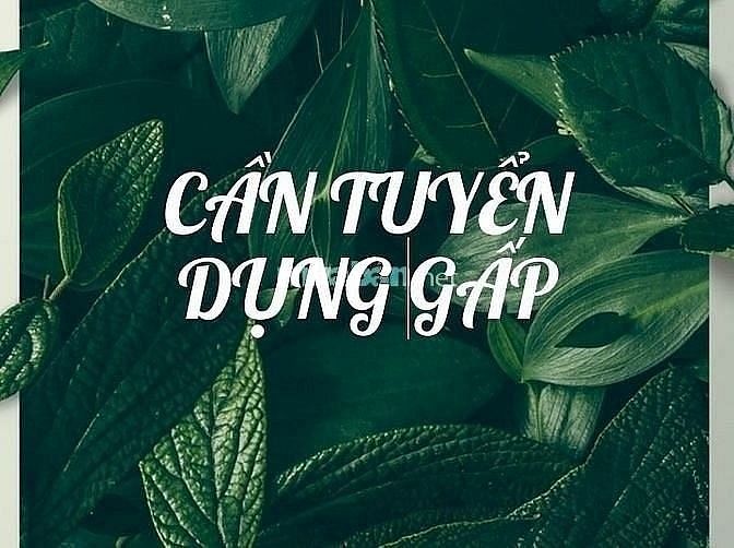 Tuyển nhân viên NAM NỮ làm việc tại siêu thị tiện lợi của công ty 61865017 Tuyển nhân viên NAM NỮ làm việc tại siêu thị tiện lợi của công ty