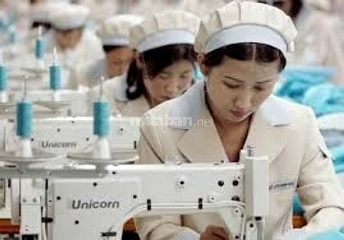Cần tuyển TỔ HỢP MAY GIA CÔNG, Thợ may máy 1 kim, đơn giá cao 61870700 Cần tuyển TỔ HỢP MAY GIA CÔNG, Thợ may máy 1 kim, đơn giá cao