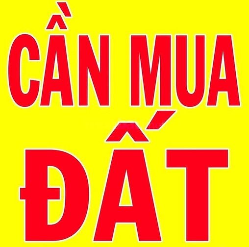 Cần mua nhà đất trung tâm Thành Phố 61878283 Cần mua nhà đất trung tâm Thành Phố