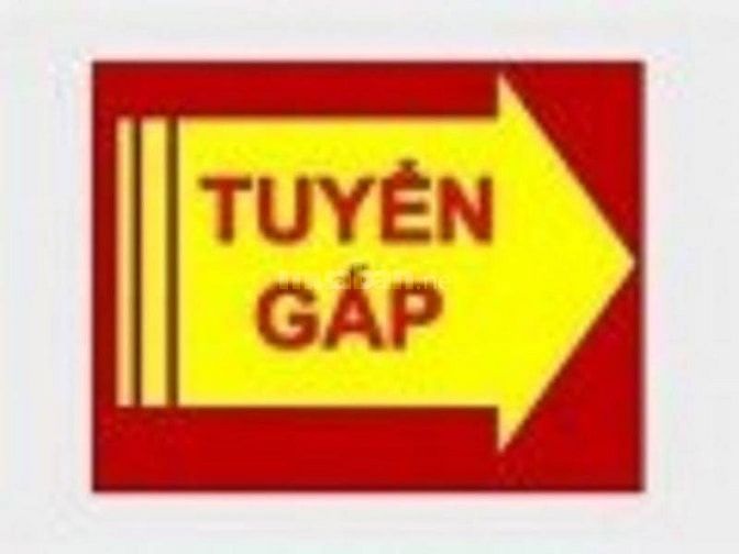 Cần Tuyển Nam Lao Động Phổ Thông 61879596 Cần Tuyển Nam Lao Động Phổ Thông