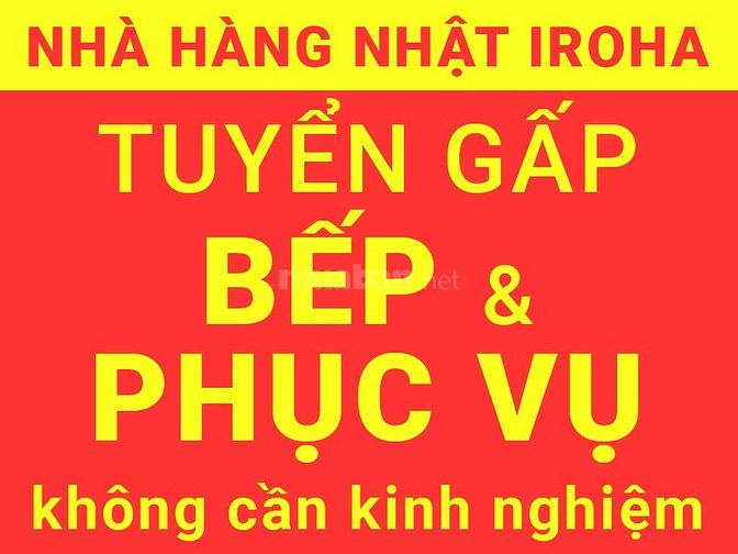 Chuỗi nhà hàng Nhật Bản Iroha, Hoheto, tuyển gấp bếp chính, bếp phụ 61888549 Chuỗi nhà hàng Nhật Bản Iroha, Hoheto, tuyển gấp bếp chính, bếp phụ