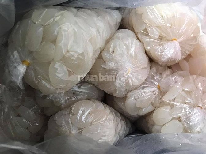 HẠT ĐÁC TƯƠI - mới, tươi ngon mềm dẻo, sạch, không chất bảo quản 61893028 HẠT ĐÁC TƯƠI - mới, tươi ngon mềm dẻo, sạch, không chất bảo quản