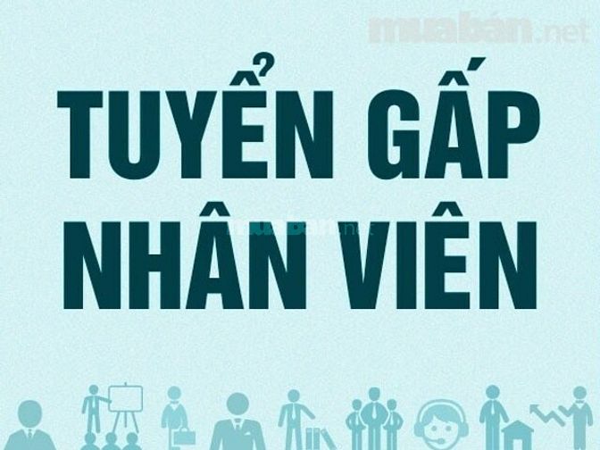 Cần tuyển tài xế bằng C, Phụ xế; Nhân viên kho, Tạp vụ 61895740 Cần tuyển tài xế bằng C, Phụ xế; Nhân viên kho, Tạp vụ