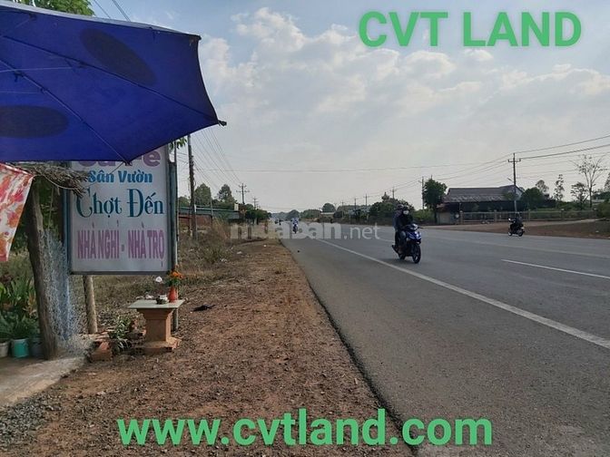 Bán 13 mẫu xã lộc Hưng Huyện Lộc Ninh Bình Phước 61895404 Bán 13 mẫu xã lộc Hưng Huyện Lộc Ninh Bình Phước