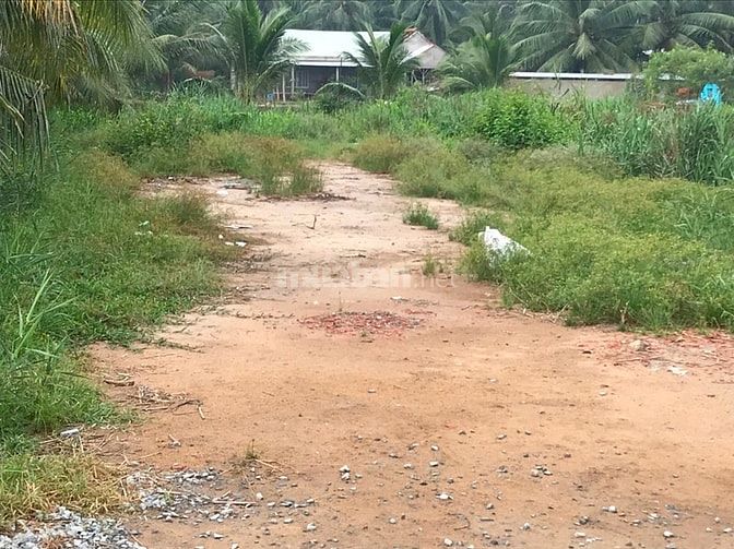 Đất mặt tiền TL883, đã bơm nền bằng tỉnh lộ, phù hợp kinh doanh