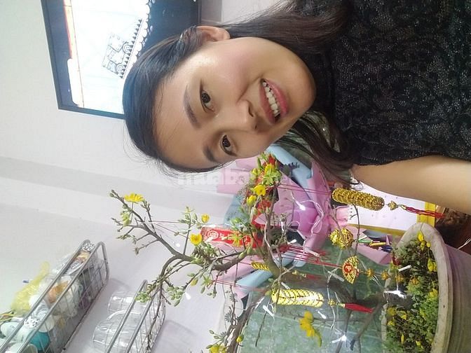 Tìm việc kế toán- văn phòng ổn định 61924566 Tìm việc kế toán- văn phòng ổn định