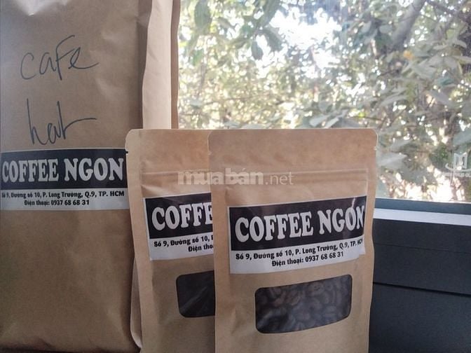 Cafe Ngon_cafe hạt _ Chuyên cung cấp cafe hạt, cafe rang xay 61978262 Cafe Ngon_cafe hạt _ Chuyên cung cấp cafe hạt, cafe rang xay