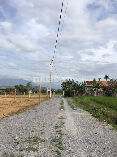 Bán 549m2 đất Cây lâu năm nằm ngay gần uỷ ban xã Ninh Trung