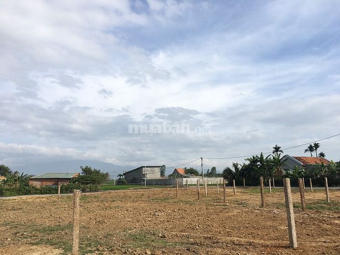 Bán 549m2 đất Cây lâu năm nằm ngay gần uỷ ban xã Ninh Trung