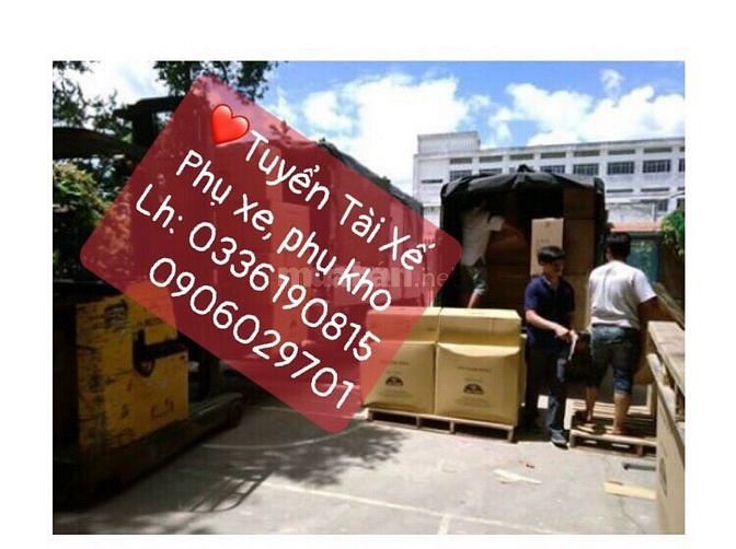 Tuyển nhân viên làm tại Vũng Tàu vào Tài xế Lơ xe Phụ xe 62050125 Tuyển nhân viên làm tại Vũng Tàu vào Tài xế Lơ xe Phụ xe
