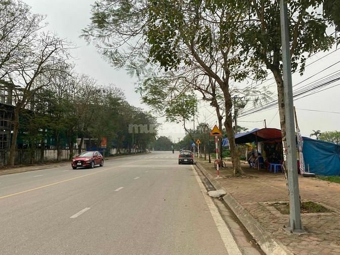 Dự án liền kề 319 uy lỗ đông anh 62069148 Dự án liền kề 319 uy lỗ đông anh