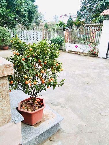 Tôi Bán gấp đất Cao Ngạn, TP Thái Nguyên DT 1.700m2 giá 2.5 tỷ TL 62077135 Tôi Bán gấp đất Cao Ngạn, TP Thái Nguyên DT 1.700m2 giá 2.5 tỷ TL