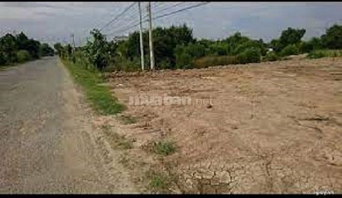Bán gấp đất thổ gần thị trấn Cái Bè, Tiền Giang 62059184 Bán gấp đất thổ gần thị trấn Cái Bè, Tiền Giang