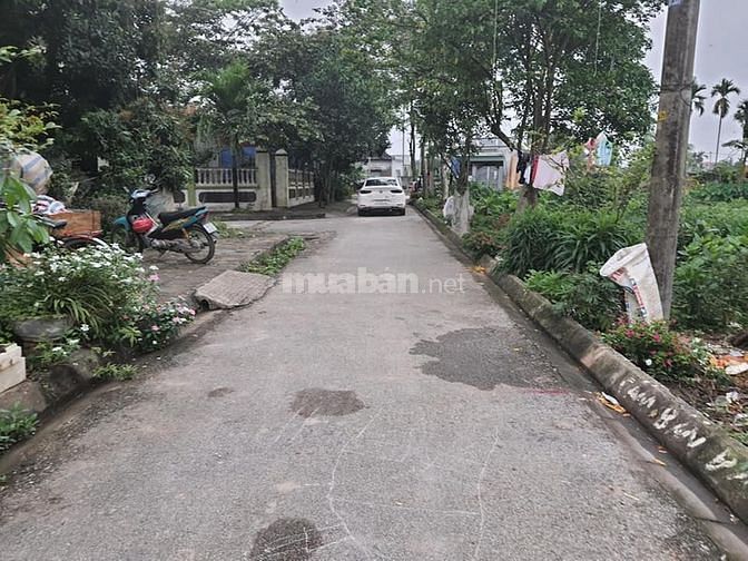 📣📣📣 Bán lô đất 97,5m2 giá chỉ vài trăm triệu tại Hữu Bằng, Kiến Thụ