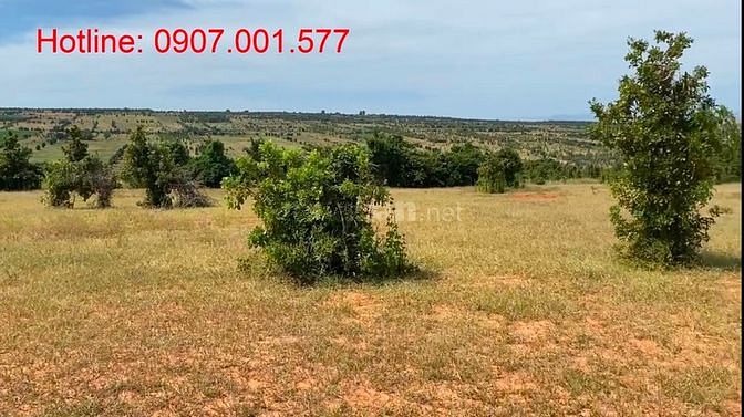 Bán nhanh lô đất vườn đẹp cách Liên Xã chỉ 500m giá chỉ 70.000đ/m2.