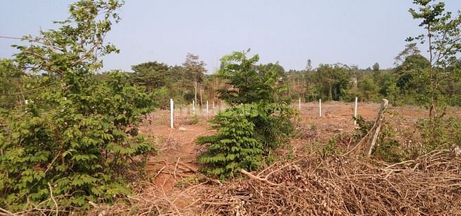 Bán 10x40m Mặt tiền QL56B đang LÊN NHỰA 20.5M