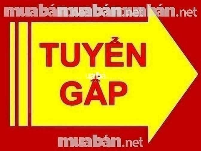 Tuyển Tạp vụ làm việc văn phòng Quận 7 62269390 Tuyển Tạp vụ làm việc văn phòng Quận 7