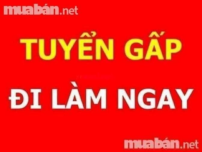Cần tuyển nam nữ LĐPT gắn bó lâu dài,có trách nhiệm. 62293402 Cần tuyển nam nữ LĐPT gắn bó lâu dài,có trách nhiệm.
