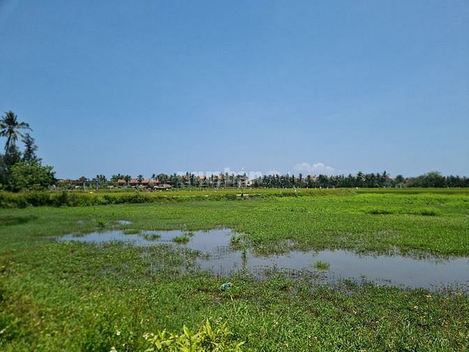 Bán nhanh villa cực chất 3 mt view lúa Cẩm Thanh