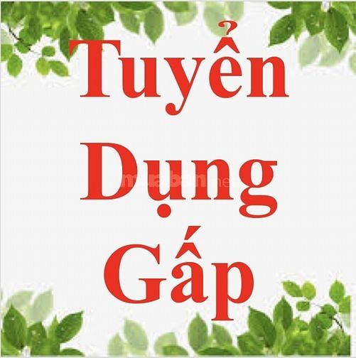 Tuyển lao động phổ thông làm việc toàn thời gian 62333070 Tuyển lao động phổ thông làm việc toàn thời gian