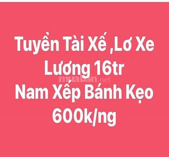 Tuyển Tài xế B2_C và Nam Lơ xe Tải + Phụ kho Bốc xếp 62347180 Tuyển Tài xế B2_C và Nam Lơ xe Tải + Phụ kho Bốc xếp