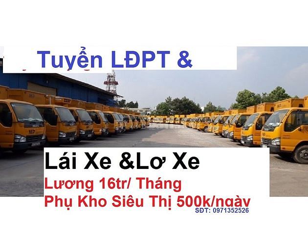 TUYỂN GẤP Lái Xe - Phụ Xe - Bốc Xếp nhận lương Tuần 62400890 TUYỂN GẤP Lái Xe - Phụ Xe - Bốc Xếp nhận lương Tuần