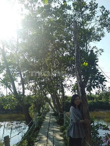 Cần thêm nhân viên làm việc tại đại lý phân phối sữa dinh dưỡng 61978716 Cần thêm nhân viên làm việc tại đại lý phân phối sữa dinh dưỡng